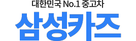 스타리아전기차